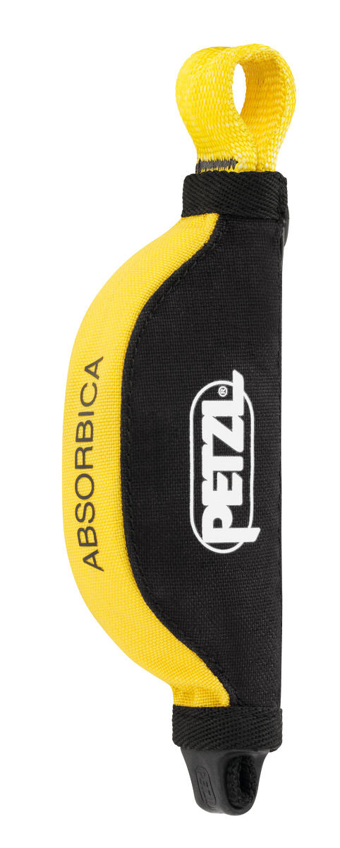 ABSORBICA